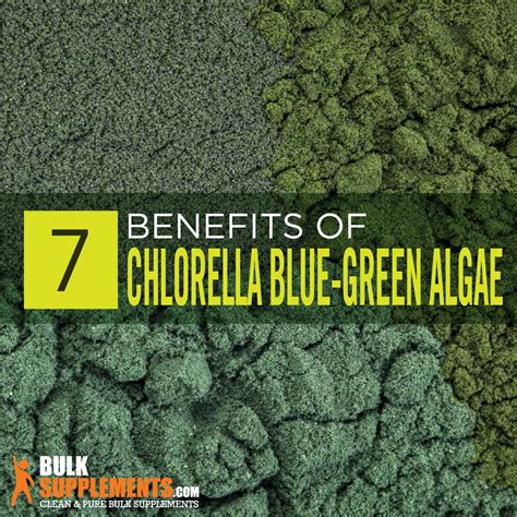 chlorella vs spirulina Archives