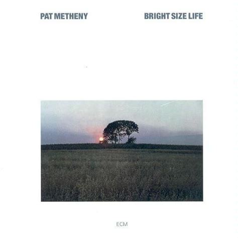 Pat Metheny : Best Ever Albums