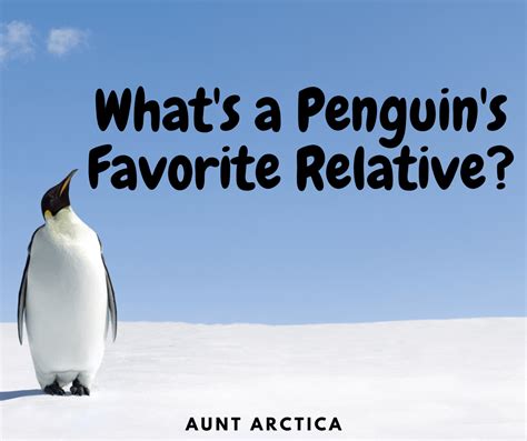 Best Funny Penguin Jokes for Children| I Love Penguins