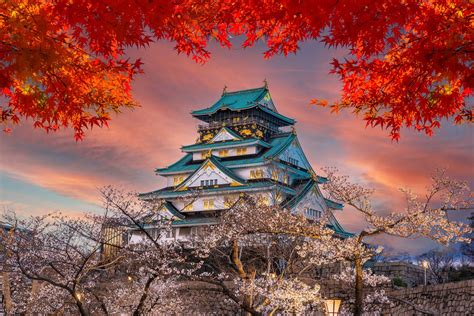 Osaka castle through the trees - Wallpaper