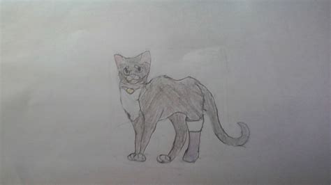 Cinderpelt as a kittypet | Warrior Cats