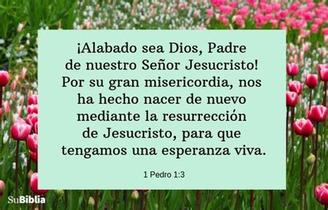 23 versículos de esperanza para animarte cuando más lo necesites - Biblia