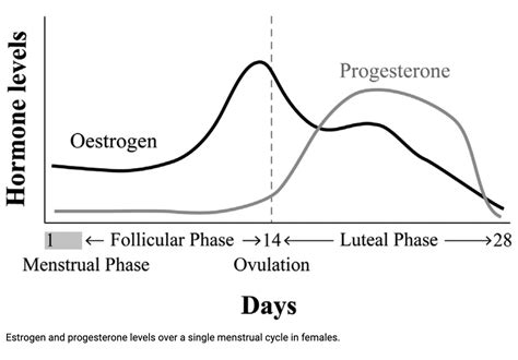 Women's Hormonal Health: Take Control! — bonza health