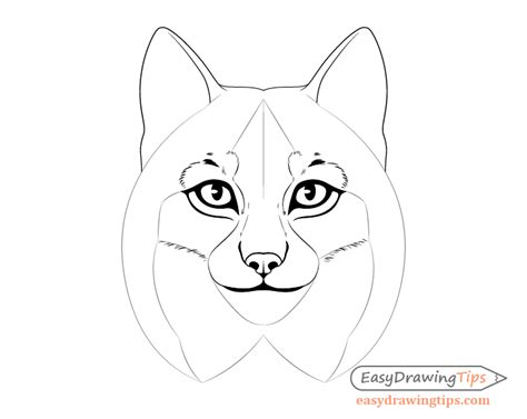 How to Draw a Lynx Face & Head Step by Step - EasyDrawingTips ...