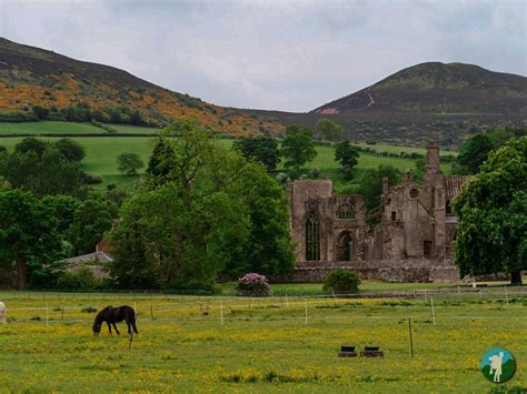 The ruins of Melrose Abbey under the Eildon Hills in the Borders #scotland | Midlothian ...