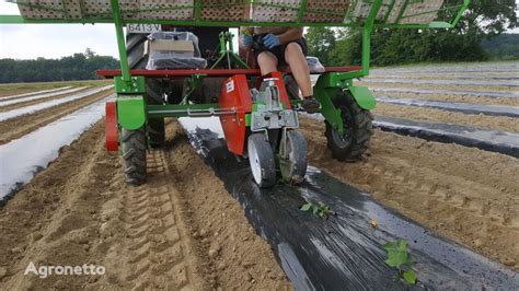 MultiPlant transplanting machine FTM transplanter for sale Croatia Virovitica, PK16690