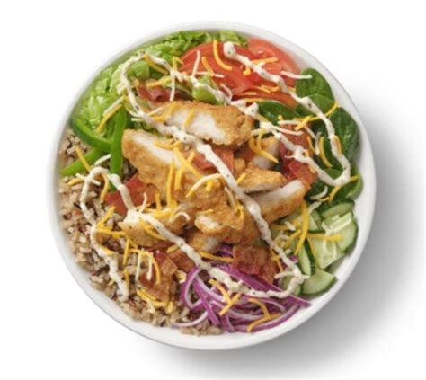 Subway just launched a new line of Signature Rice Bowls to its menu ...