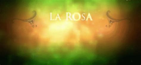 Drama Rosa GIF - Drama Rosa Guadalupe - Discover & Share GIFs