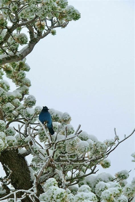 Photos of Dream Lake Trail - Colorado | AllTrails