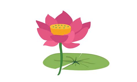 Pink lotus on green leaf clipart. Lotus flower and leaf vector design. Simple cute lotus cartoon ...