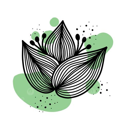 Line Art Flower, Flower Drawing, Flower Sketch, Line Art PNG Transparent Clipart Image and PSD ...