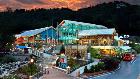 Ripley’s Aquarium of the Smokies: Explore Marine Wonders in Gatlinburg, TN