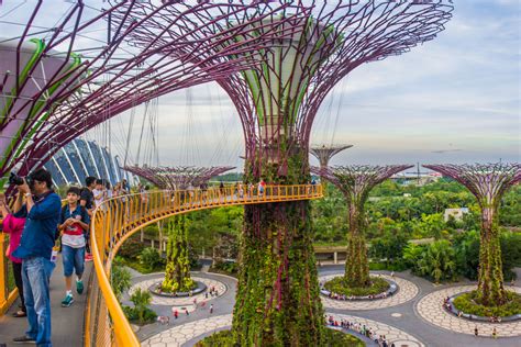 Gardens by the Bay: A Futuristic Garden in Singapore — No Destinations