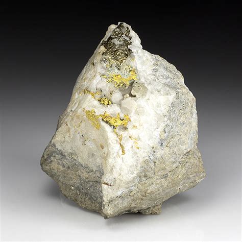 Gold with Pyrite - Minerals For Sale - #2001011