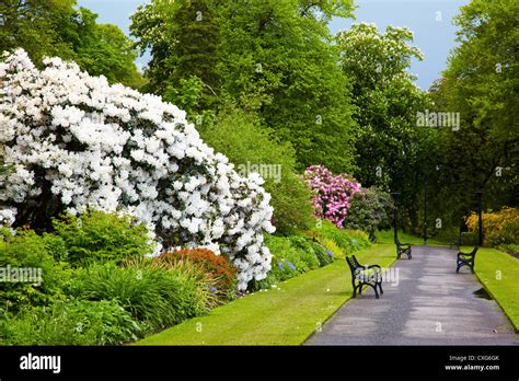 Belfast Botanic Gardens Stock Photo - Alamy