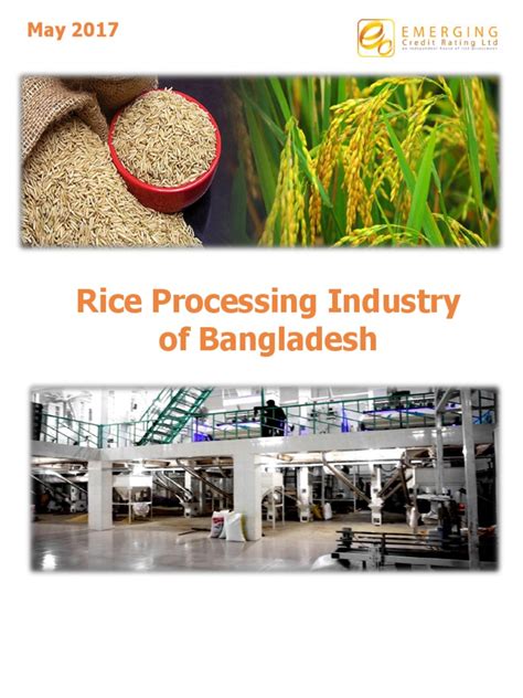 Analysis of the Rice Processing Industry in Bangladesh | PDF | Rice ...