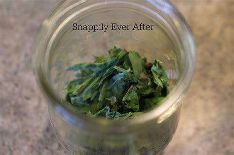 Snappily Ever After: Drying Herbs in the Microwave