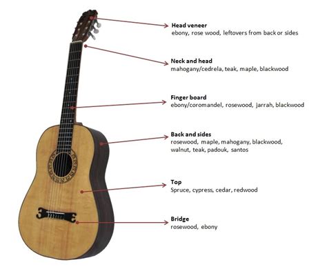 Design of a classical guitar | Guitar, Classical guitar, Guitar building