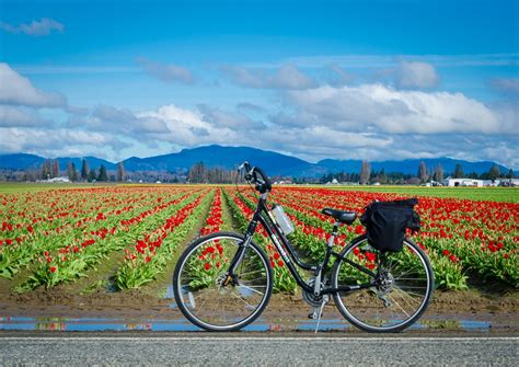 Biking and Hiking in Skagit Valley - Visit Skagit Valley - North ...