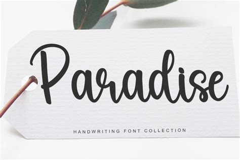 Paradise Regular | PREMIUM Font