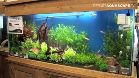 Aquascaping - Aquarium Ideas from Aquatics Live 2012, part 5 - YouTube