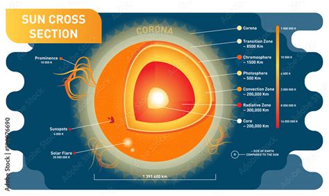 Sun cross section scientific vector illustration diagram with sun inner ...