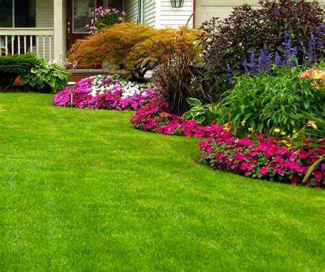 How To Keep Your Lawn Green And Beautiful