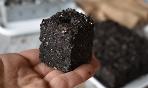 Soil Blocking: Tried and True Seed Starting Tech- Epic Gardening