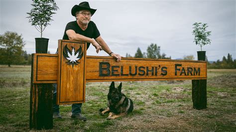 'SNL' Alum Jim Belushi Blazed a Trail Outside His Comfort Zone to Farm ...