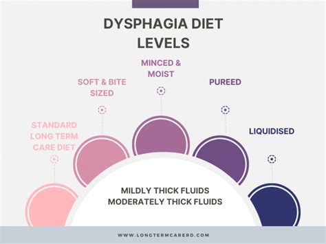 Dysphagia Care Plan: Examining Dysphagia and Nutrition