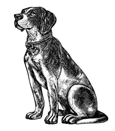 Dog black and white dog clipart black and white clipart free download 3 ...