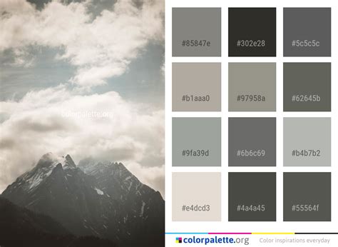 Storm Dust Color Palette ideas | colorpalette.org