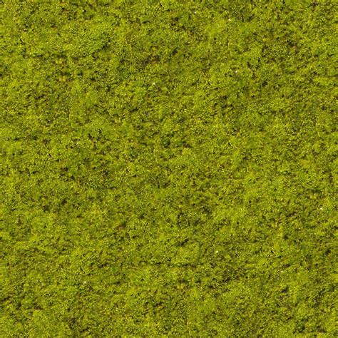 Moss0074 - Free Background Texture - moss green seamless seamless-x seamless-y