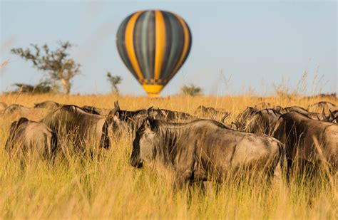 Amazing Serengeti Balloon Safari (Add-on) - World Adventure Tours