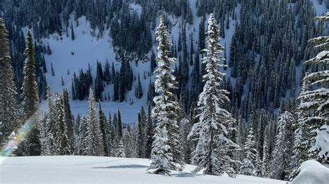 MCCALL IDAHO SNOWMOBILING - Adrenaline Mountain Adventures