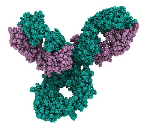 Report Proposes Noninvasive Method to Measure PD-L1 in NSCLC