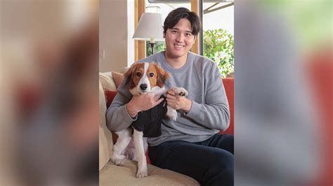 Shohei Ohtani’s dog gets a giant mock visa – NBC Los Angeles