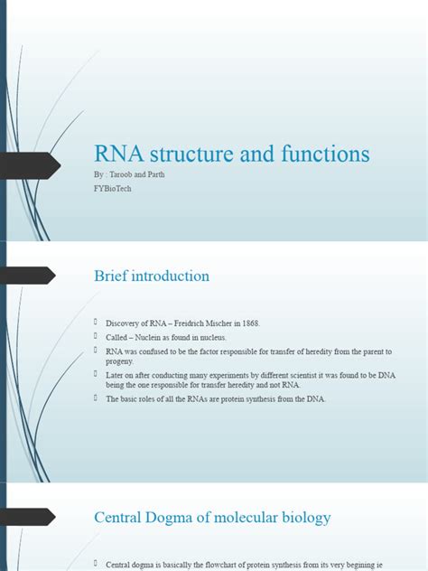 RNA Structure and Functions | PDF | Rna | Nucleic Acids