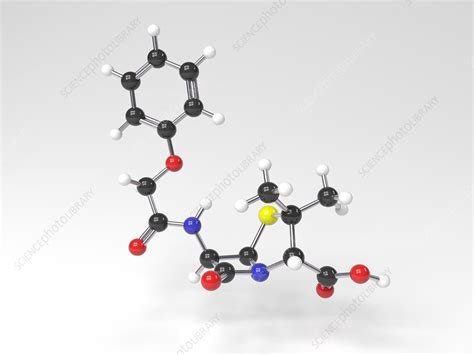 Penicillin molecule, Illustration - Stock Image - C027/7636 - Science Photo Library