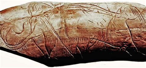 Pin by El Cuatro on Mammoth | Cave paintings, Prehistoric art, Paleo art
