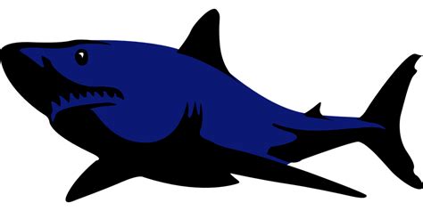 Free vector graphic: Shark, Fish, Animal, Swim, Danger - Free Image on Pixabay - 305513