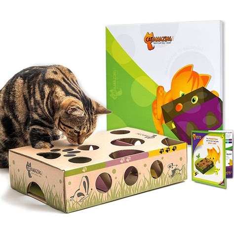 Combat Pet Cabin Fever with Cat and Dog Puzzle Toys | BeChewy