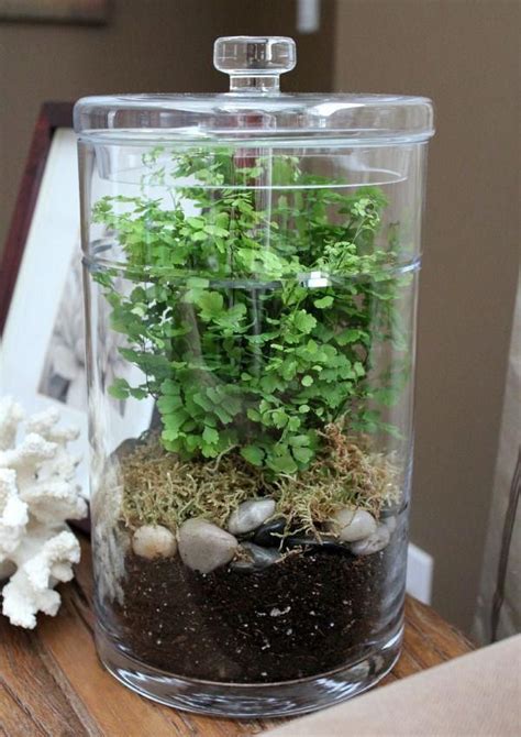 Bring some life to your space with this DIY Terrarium. Full supplies list and easy step-by-step ...