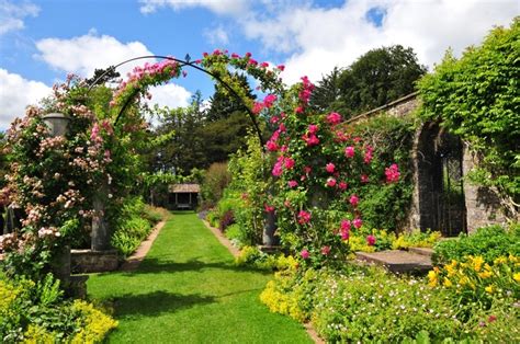 dyffryn gardens | Rose garden design, Garden design, Tropical garden