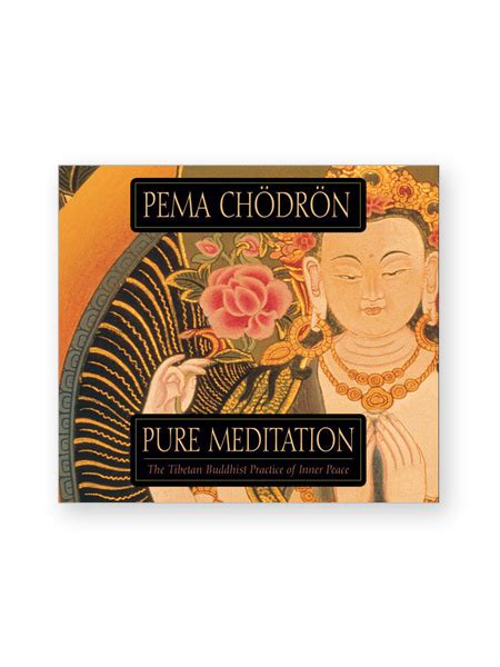 Pure Meditation • Audio Download - The Pema Chodron Foundation