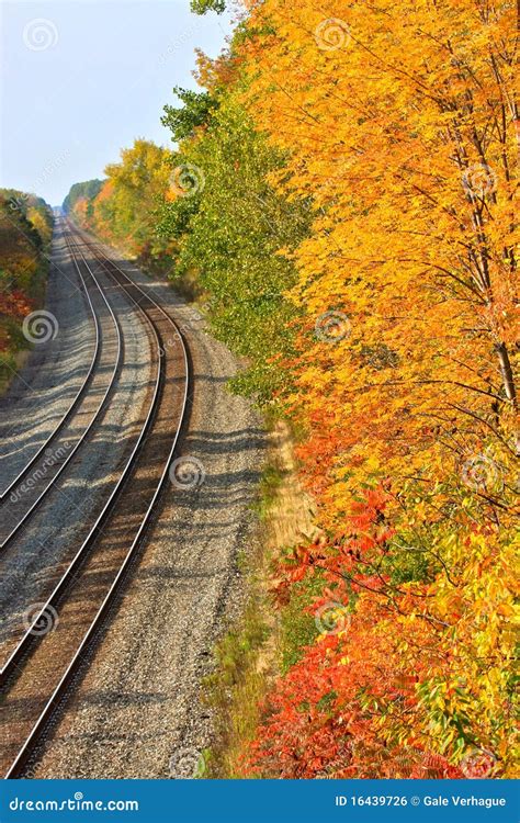 Train Tracks in Autumn stock photo. Image of travel, distant - 16439726