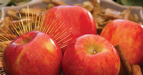 Autumn Glory Apple Outpacing Other Apples - Superfresh Growers