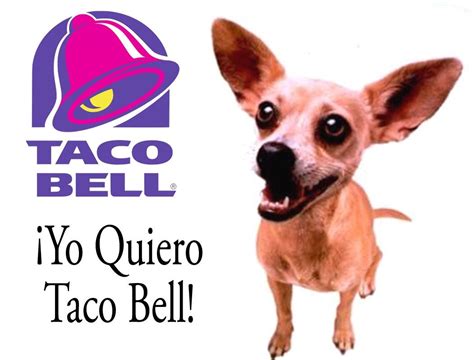 Taco Bell Dog Blank Template - Imgflip