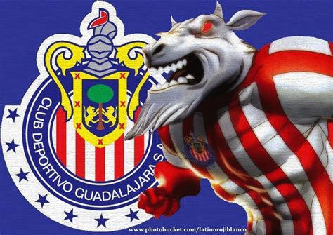 Chivas Rayadas de Guadalajara | Guadalajara, Chivas soccer and Futbol