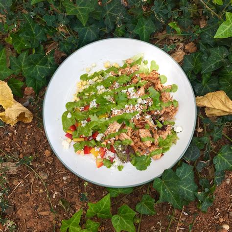 Shredded Chicken Mexican Salad with Creamy Cilantro Dressing - Heart to ...